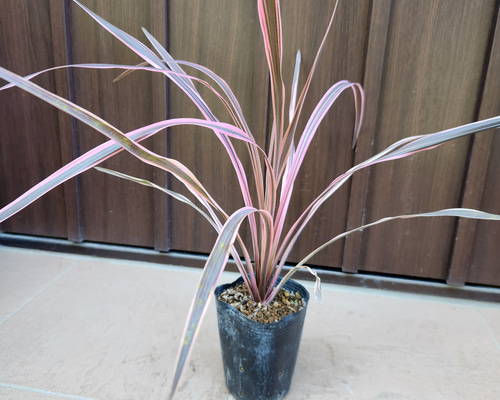 82b680445fdbcae698f44712927812