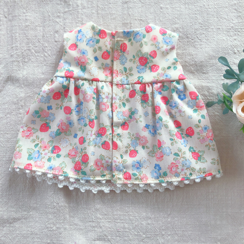 26cmドール用 アイボリーいちごシリーズ ソランちゃん レミンちゃん