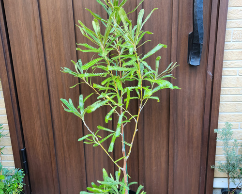 5aaf58466090291095fdafd4ebaa3c