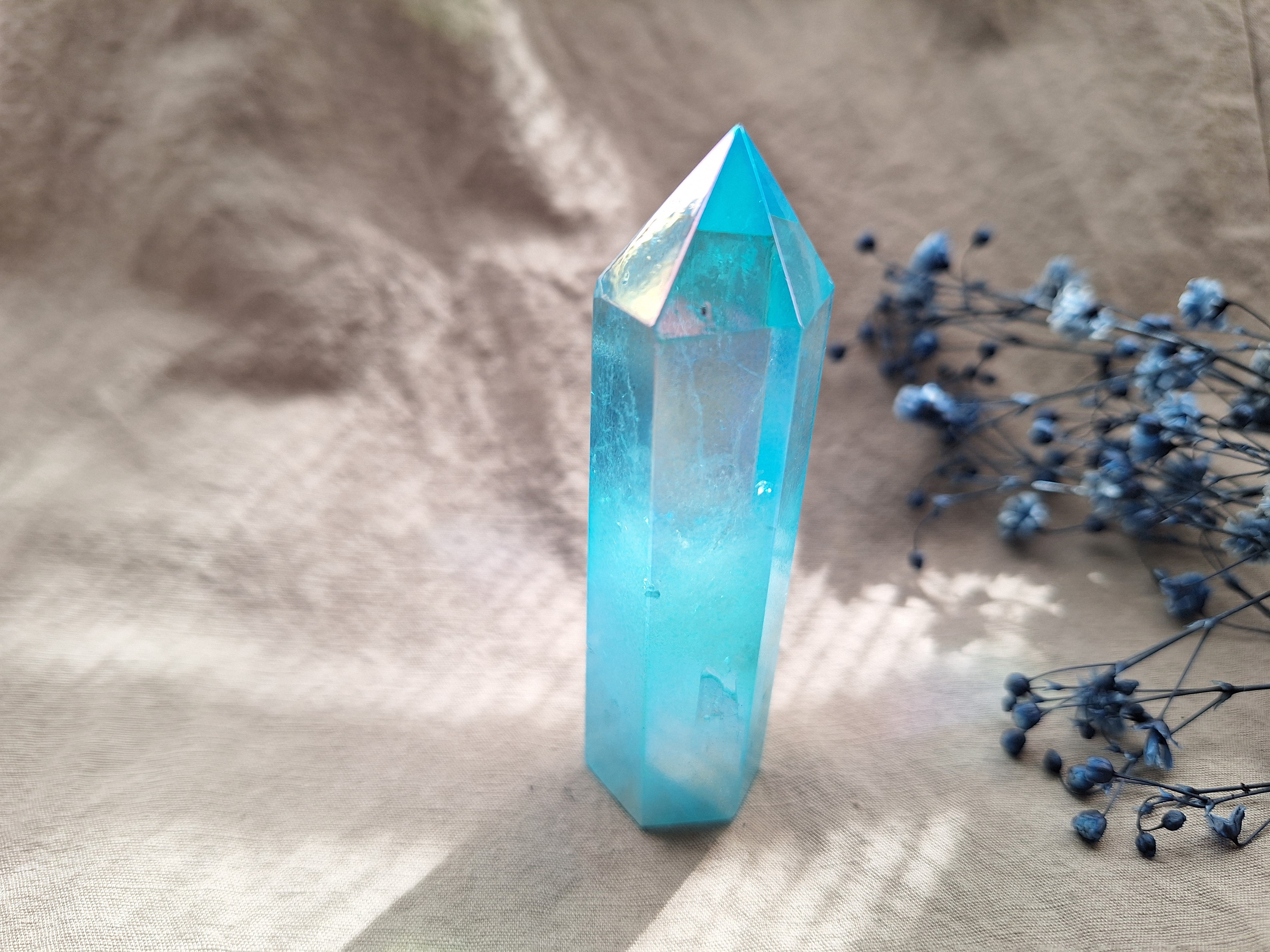 アクアオーラ  ポイント   ①