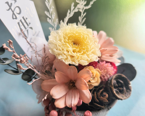 917248c5feae8aa5e4ab3ce986c7e7