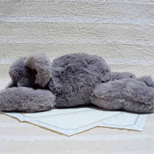 のび猫グレー(もわもわタイプ) ぬいぐるみ むかしトンボ工房 通販