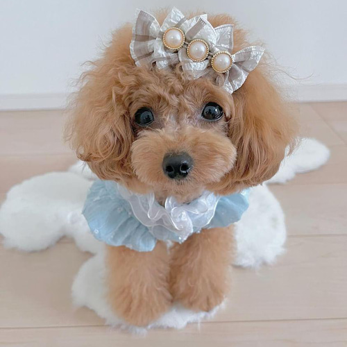 ナチュラルチェックリボン 犬リボン わんこりぼん ペット服