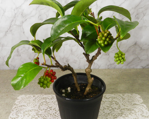 1b87d5b3b427a5ca9519d913ef620a