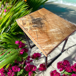 レジン サイドテーブル 海岸 ツバキ 【公式通販】