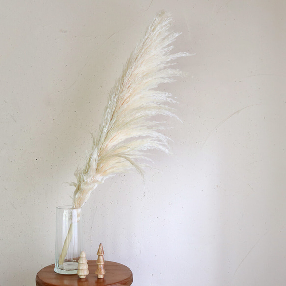 大枝 約80～90cm 】 パンパスグラス ＊ ドライフラワー 秋冬