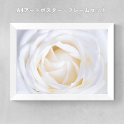 白いバラのキャンバスアート ab4f26e35352f8c27a2a097f3c094b