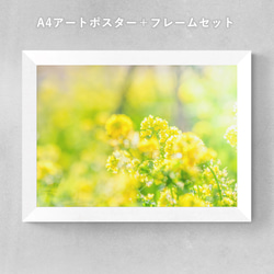 8b37e7717f14a27218b6a6d2b52ffb