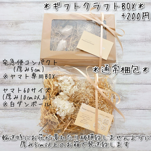 maSa　様用 ゆうすけ atmosからadidas Originals「ZX 8000」の別注モデル10