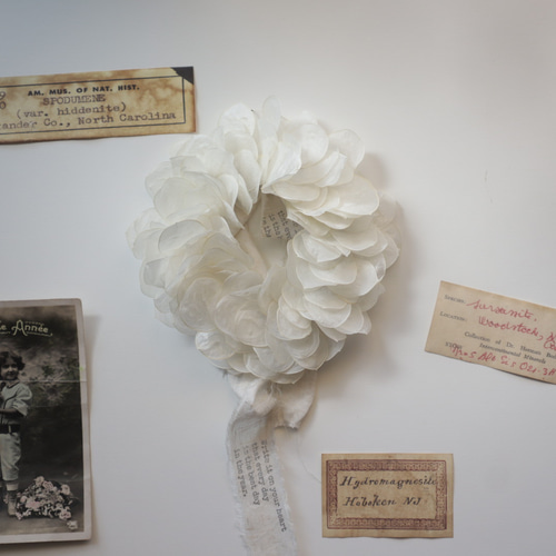 Natural＊ルナリアのホワイトリース＊ドライフラワーリース