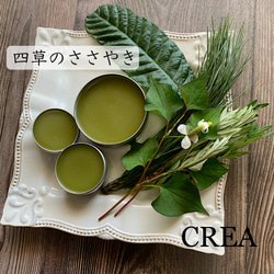 ≪ 薬用万能 無農薬 よもぎ ビワ クリーム 40ml ≫ その他雑貨