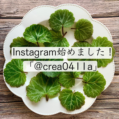 50g【人気No.1】四草のささやき バーム 4種 薬草 よもぎ／どくだみ