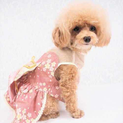 ワンピース ドレス 和柄 和装 着物風 ドックウェア 犬用 服 犬服