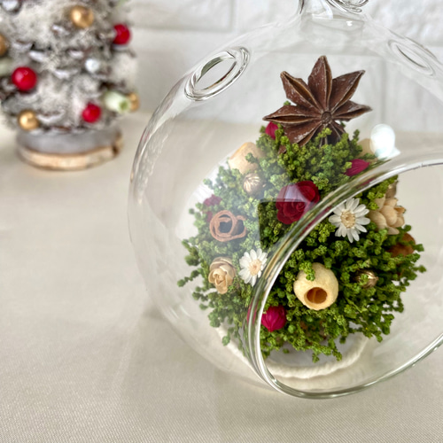 定番グリーンのミニツリー/ガラスドーム クリスマス クリスマスツリー