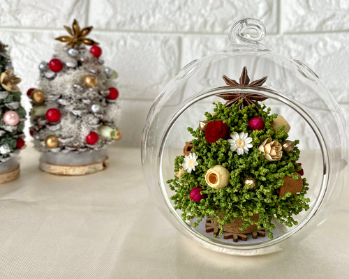 定番グリーンのミニツリー/ガラスドーム クリスマス クリスマスツリー
