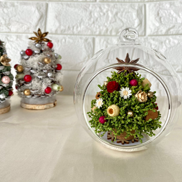 定番グリーンのミニツリー/ガラスドーム クリスマス クリスマスツリー