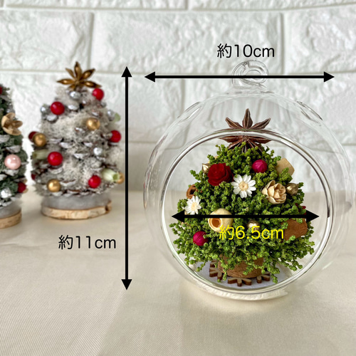 定番グリーンのミニツリー/ガラスドーム クリスマス クリスマスツリー