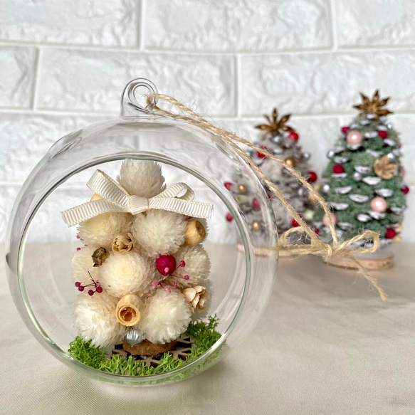 千日紅のミニツリー/ガラスドーム クリスマス クリスマスツリー