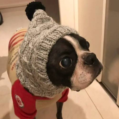 花さま ♡ 大好評♪ 手編み□ 犬 スヌード □ ボストンテリア ニット帽