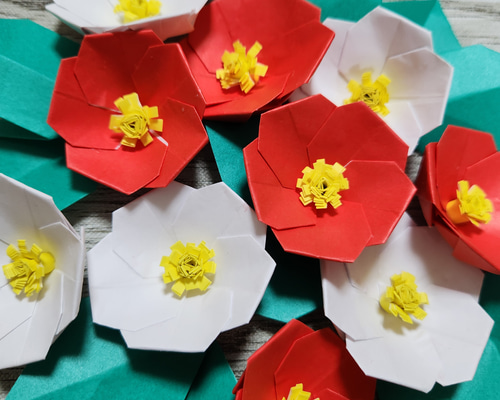 購入不可　ツバキ　赤、白、ピンク　折り紙、色画用紙　壁面1000円 d4b8043bc0fac9da493225941e23b1