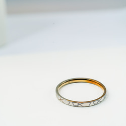 【「双秋の輪（Autumn Split）：チタンが映す鎌倉の秋」Titanium Ring】 4枚目の画像