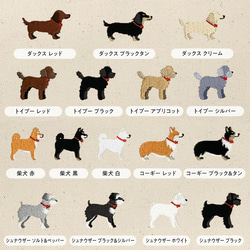 【名入れ可能】 今治タオルハンカチ 12枚目の画像