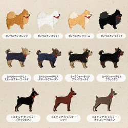 【名入れ可能】 今治タオルハンカチ 14枚目の画像