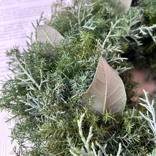 30cm 針葉樹のクリスマスシンプルフレッシュリース｜おしゃれなドライ