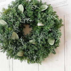 30cm 針葉樹のクリスマスシンプルフレッシュリース｜おしゃれなドライ