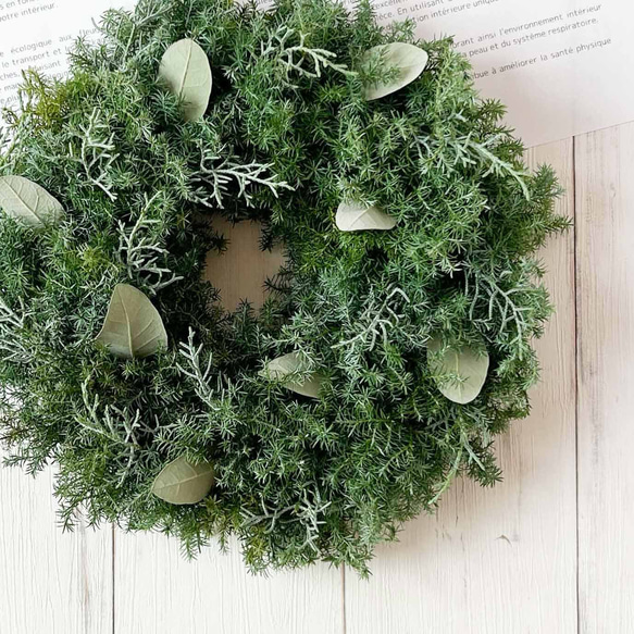 30cm 針葉樹のクリスマスシンプルフレッシュリース｜おしゃれなドライ