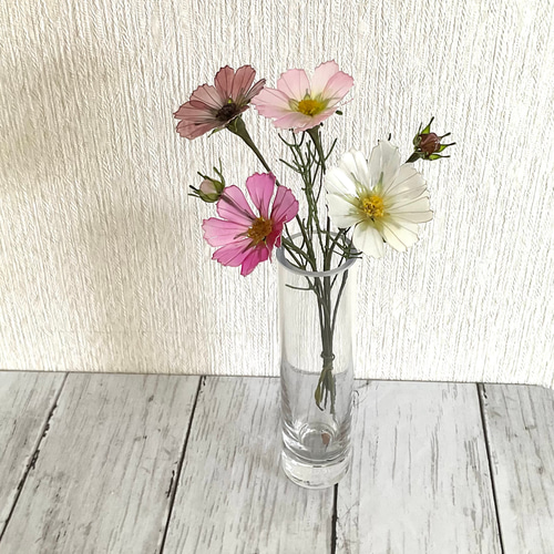 コスモスの蕾 アメリカンフラワー/ディップアート アート