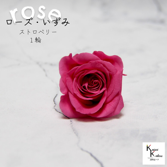 rose 持ち歩き pink様❁︎オーダー ハーバリウム 2025母の日♡。:°ஐ