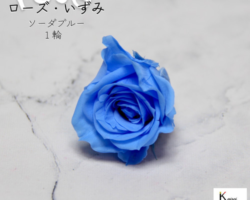 プリザーブドフラワー 花材 大地農園 ビビアン・ミミ・いずみ