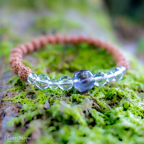 超レア・希少！スター効果×シルバーシーン！幸せな結婚・癒し・子宝の