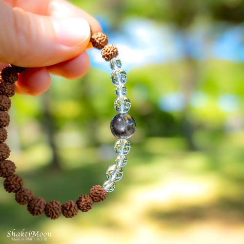 超レア・希少！スター効果×シルバーシーン！幸せな結婚・癒し・子宝の