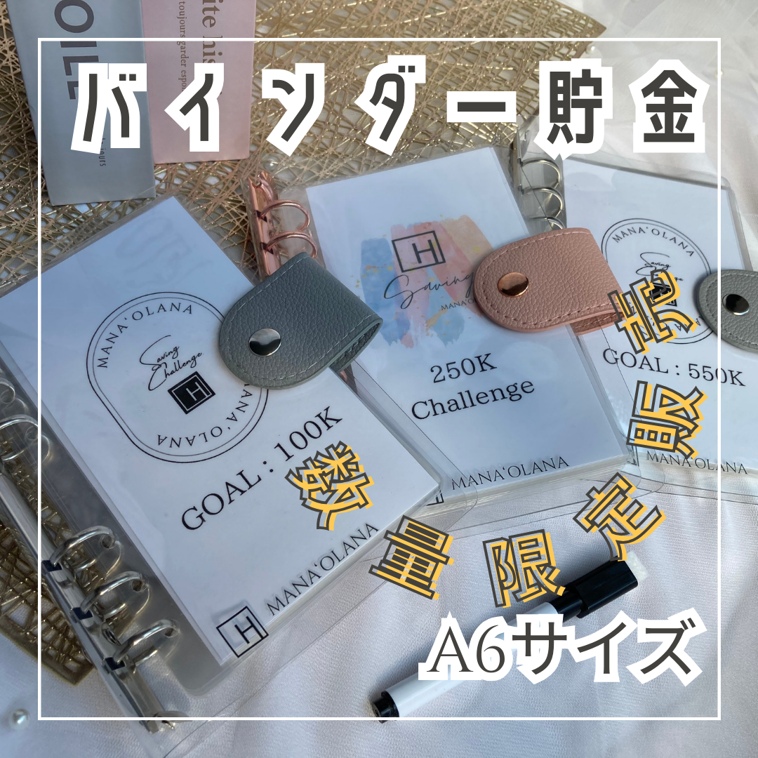 バインダー貯金 レジンバインダー A6 貯金 韓国 予算管理 手帳