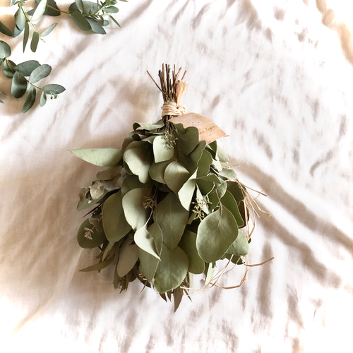 ポポラスベリー ユーカリ スワッグ MS 25cm ＊ ドライフラワー  