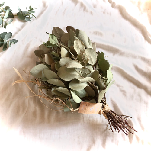 5.ポポラスベリースワッグ 特価】ポポラスベリー ユーカリ スワッグ LM 35cm ＊ ドライフラワー