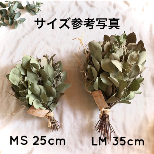 特価】ポポラスベリー ユーカリ スワッグ LM 35cm ＊ ドライフラワー