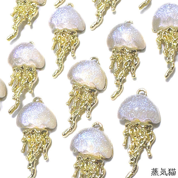  第2張的照片