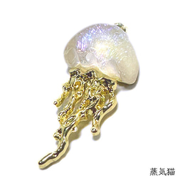  第4張的照片