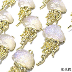  第3張的照片