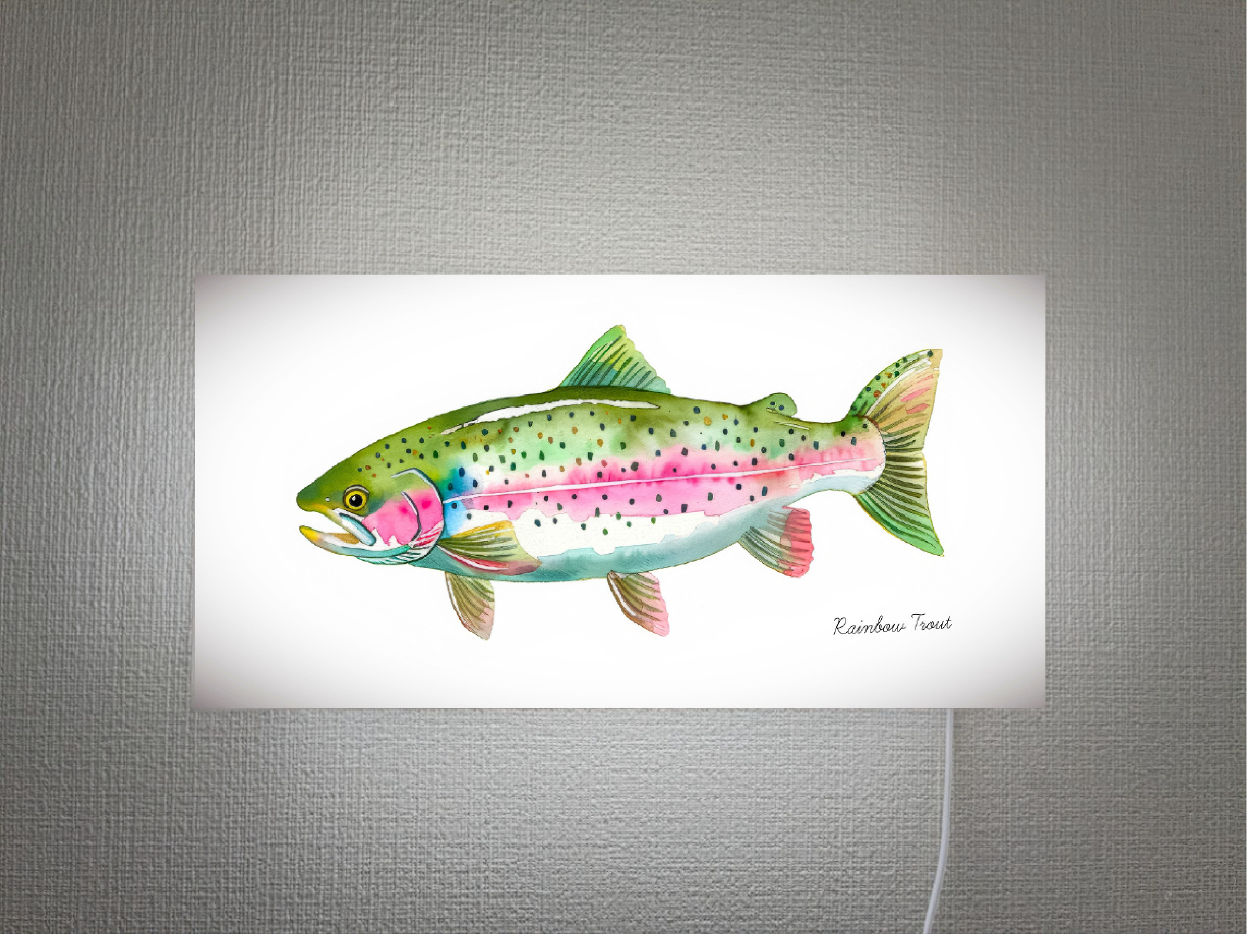 【オーダー無料】虹鱒 レインボートラウト 釣り フィッシング アウトドア 壁掛け 照明 看板 置物 雑貨 ライトBOX