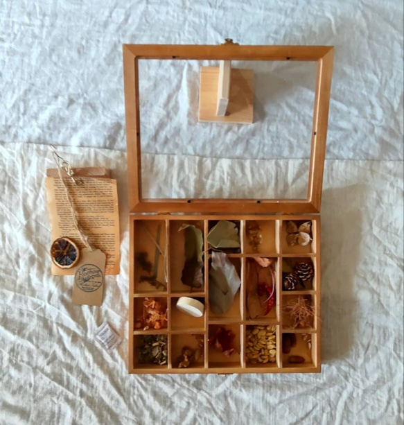 受注）creema 秋の標本箱 木の実 紅葉 入り アクセサリー収納 洋書