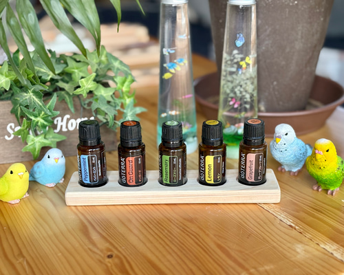 83126943854a8d7f80360ddb813a48