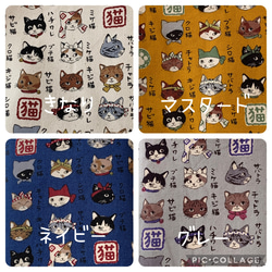 エコティッシュカバー☆マスクストッカー♪猫☆図鑑♪4カラー 7枚目の画像