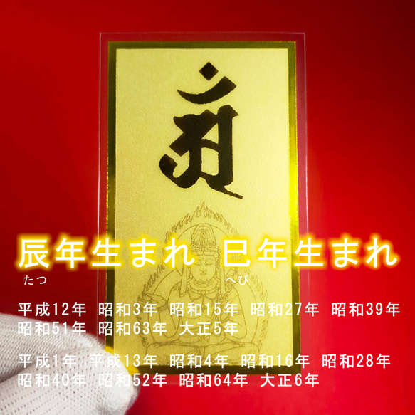 Amazon.co.jp: 辰年（たつ年）巳年（へび年） 干支梵字護符 開運