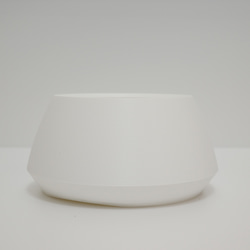 鉢セット販売]サトイモ科3種_paradise (1点限り) その他インテリア雑貨