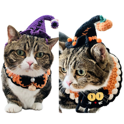 猫用&犬用襟型ペット首輪&帽子セット☆ハロウィン☆ネコ/ワン