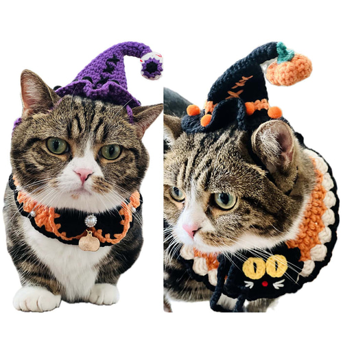 猫用&犬用襟型ペット首輪&帽子セット☆ハロウィン☆ネコ/ワン